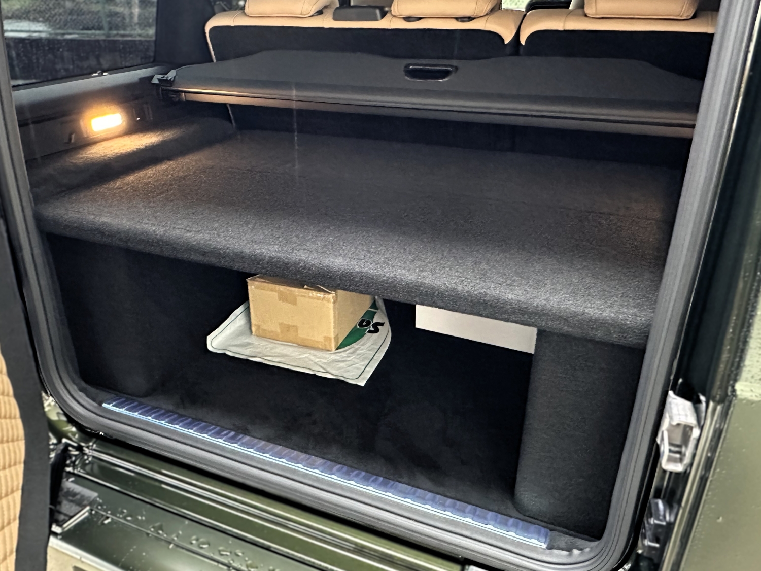 G450d ゲレンデ オリーブ ステルス マット
