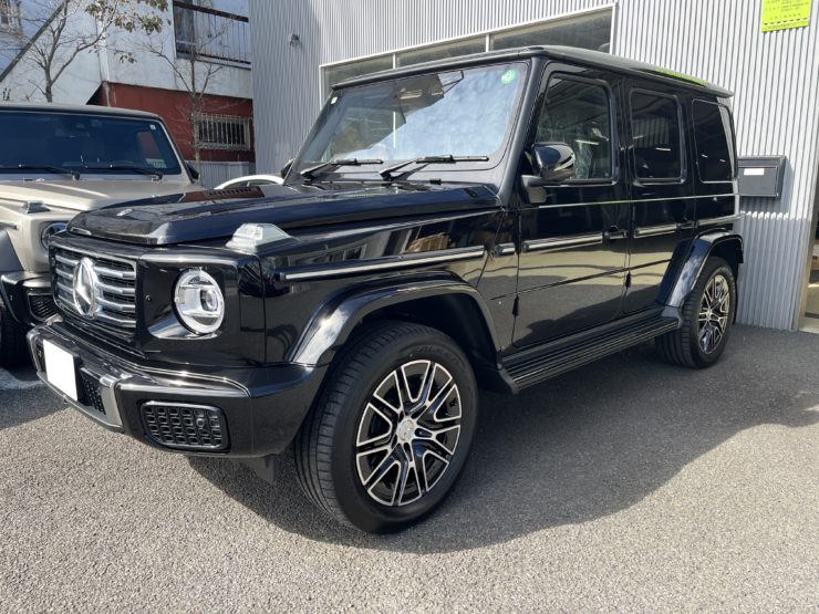 W465ブラックアウト ｹﾞﾚﾝﾃﾞﾌﾞﾗｯｸｱｳﾄ W465電動ステップ ｽﾃｯﾌﾟﾎﾞｰﾄﾞﾌﾟﾛﾃｸｼｮﾝ PPF