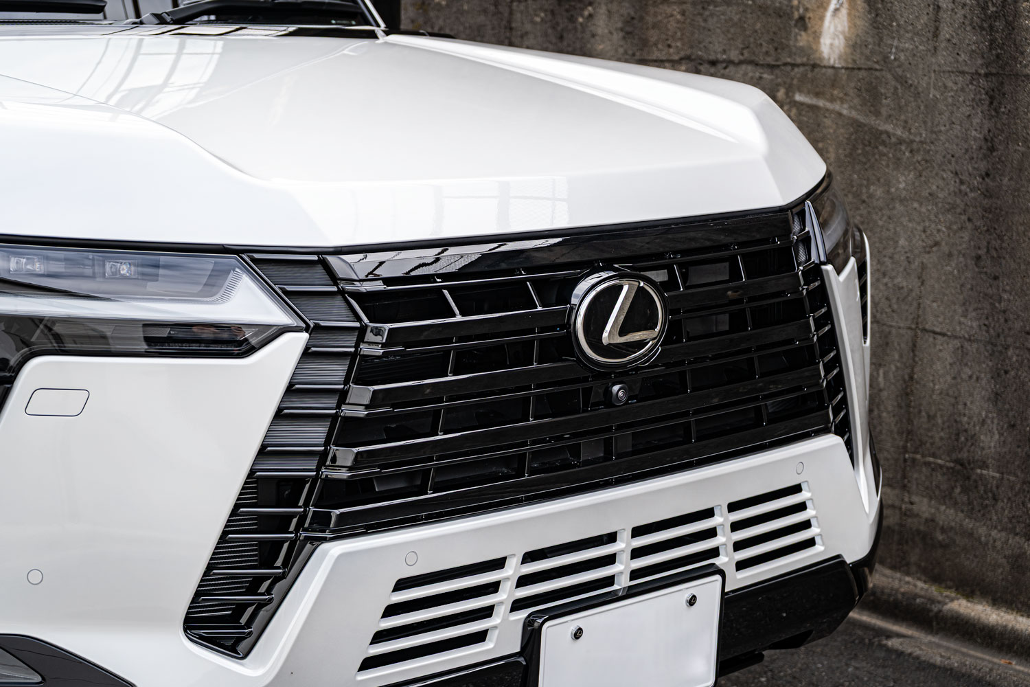 レクサス LEXUS GX550 ペイント シボ取りペイント グリルペイント カスタム 名古屋