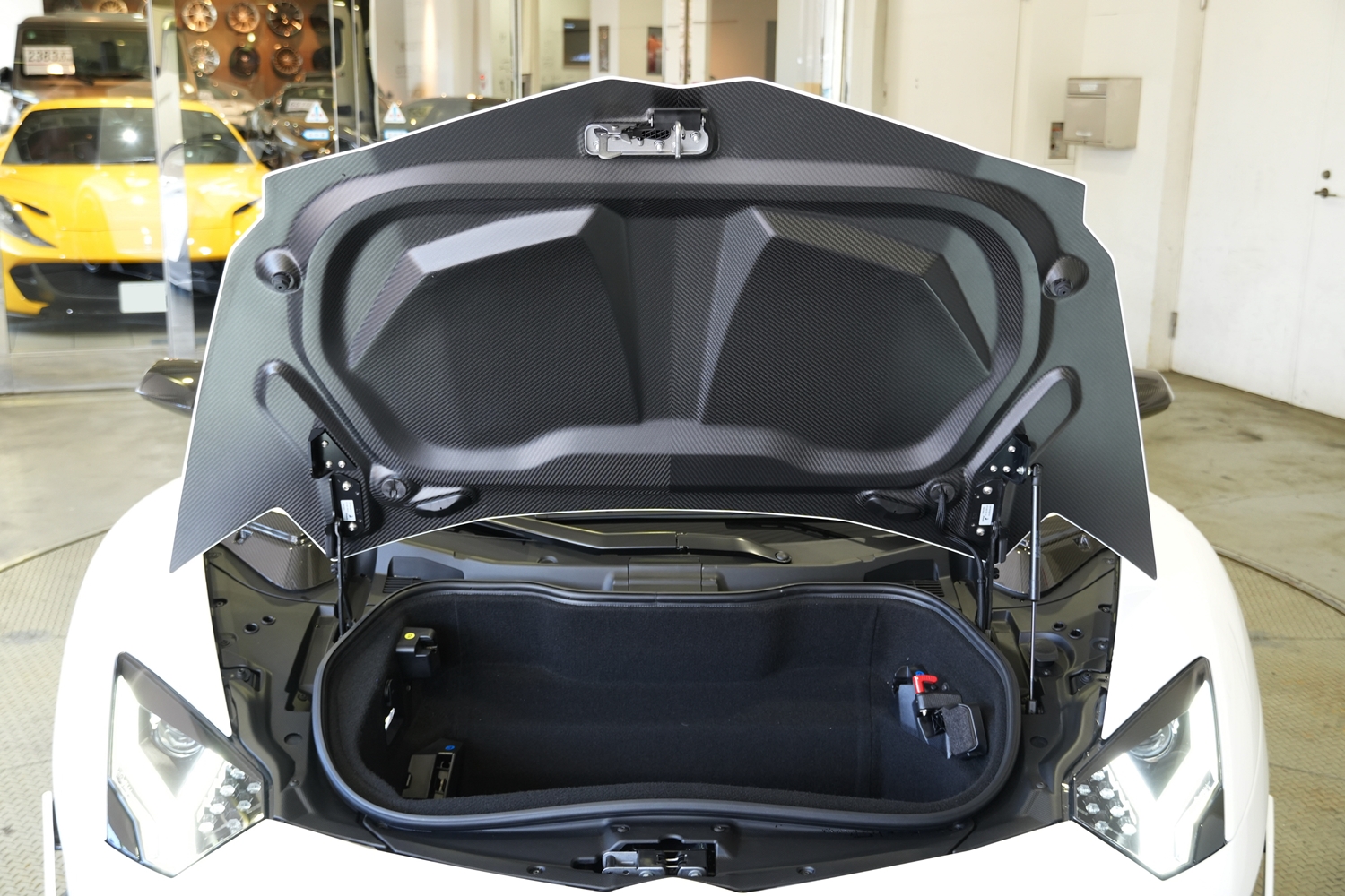 Aventador　アヴェンタドール　SVJ　カスタム　エアロ　ボンネット　カーボン　