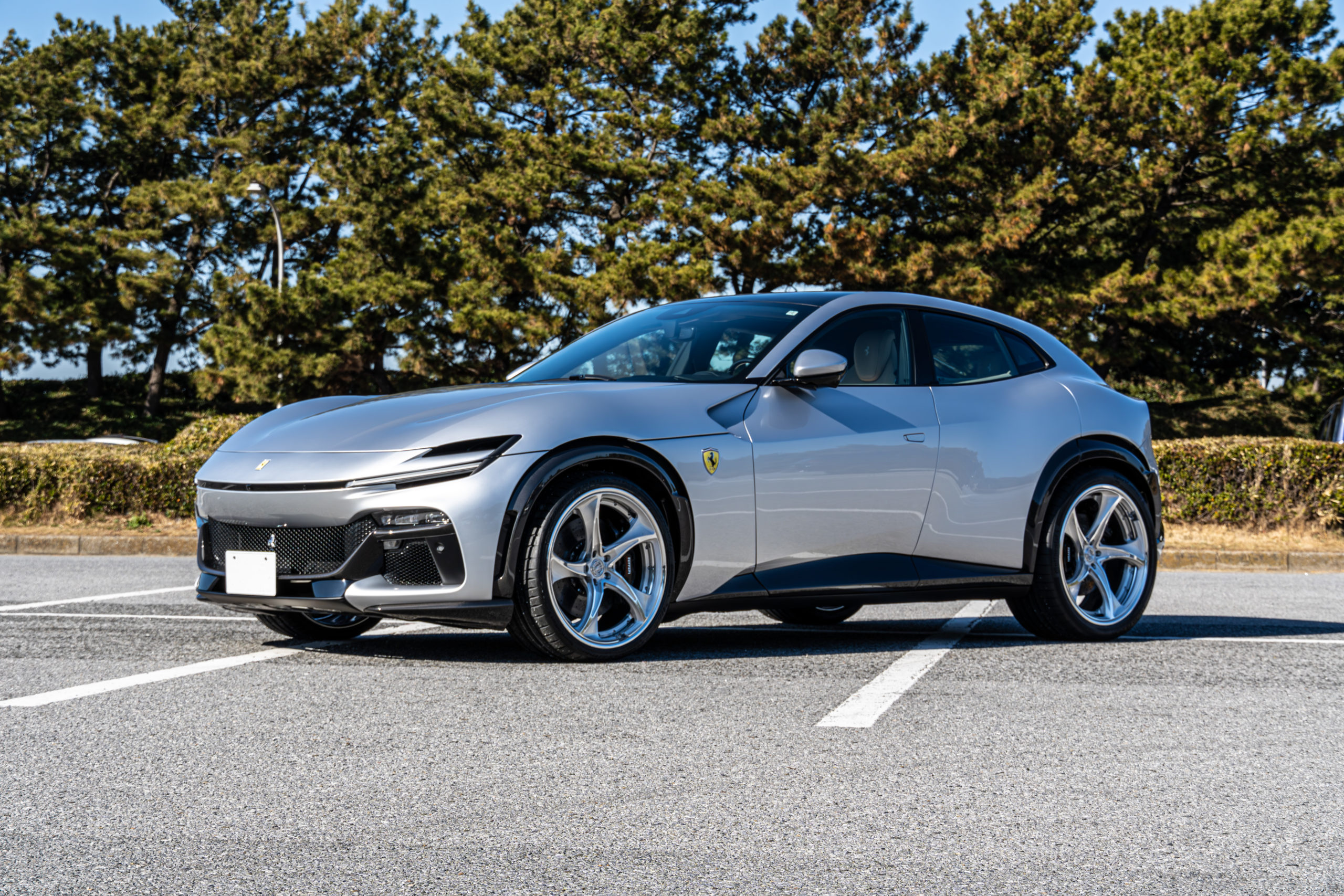 FERRARI PUROSANGUE フェラーリ　プロサングエ プロテクションフィルム グリジオスクーロ AL13 ANRKY HRE