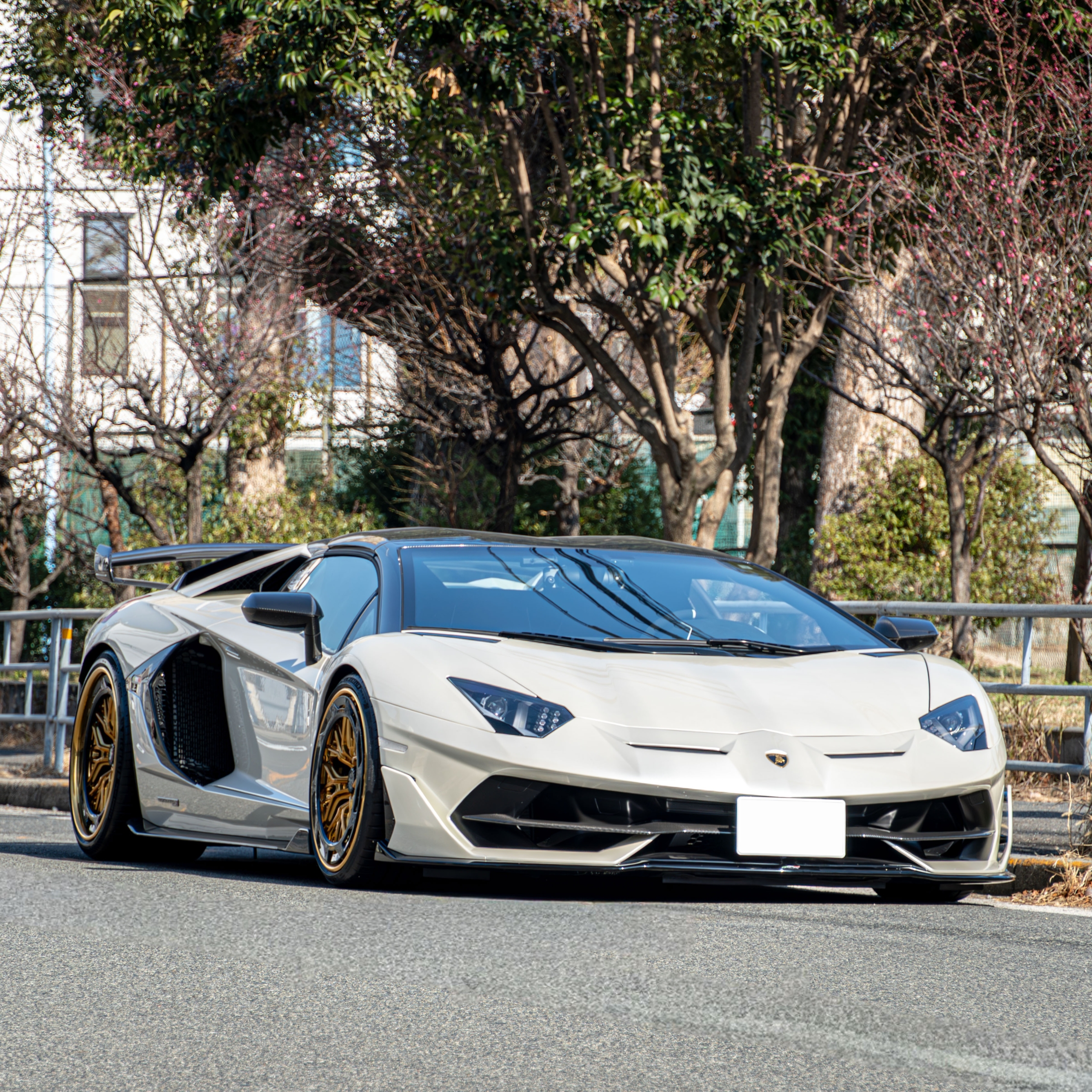 Lamborghini Aventardor SVJ Roadster×MV Forged wheels AR-220R　ボンド大阪