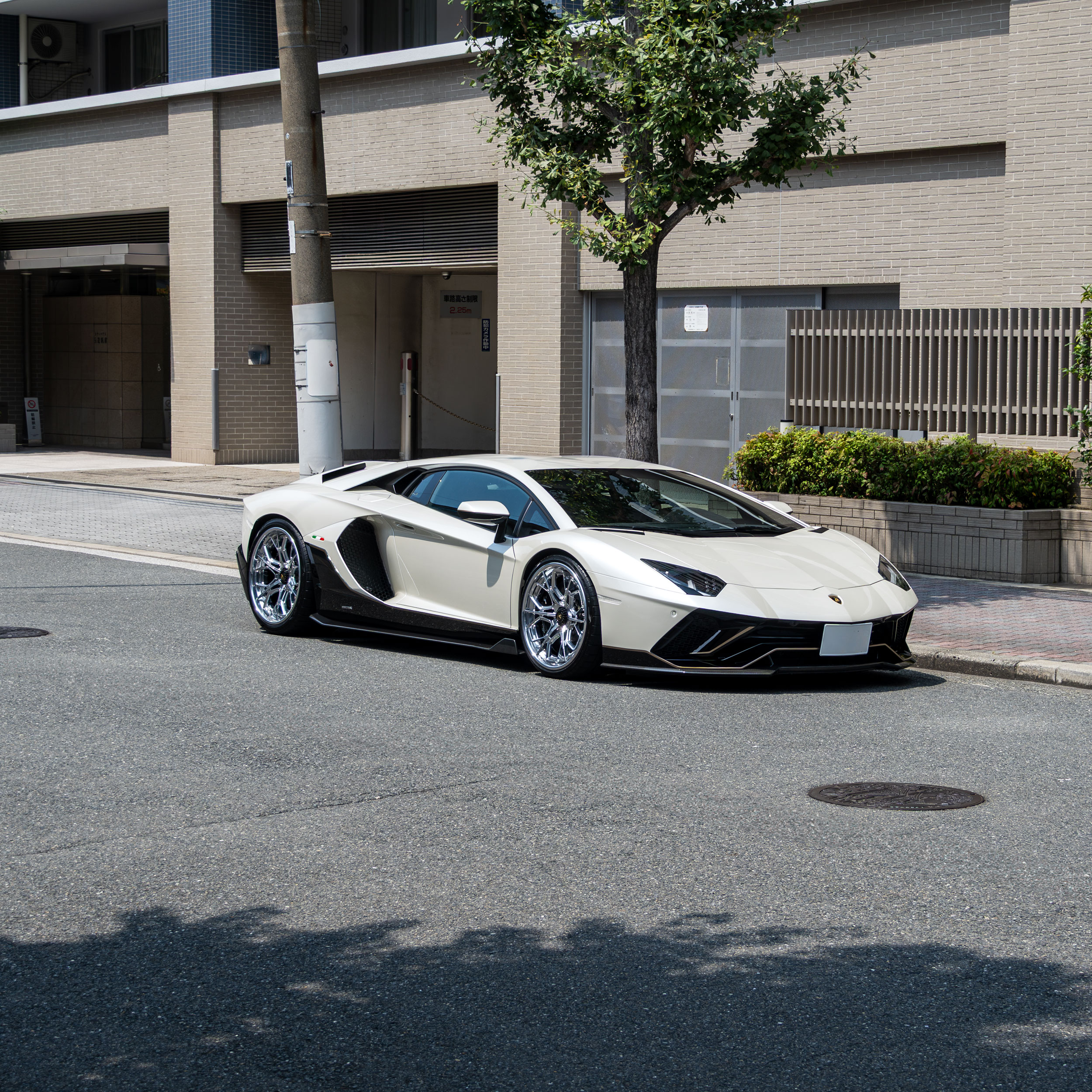 Aventador Ultimae × AL13wheels R140.6
